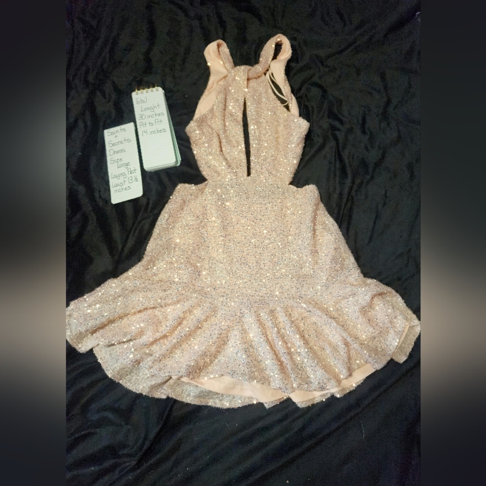 Saints + Secrets NEW with tags size Large sequin dress homecoming